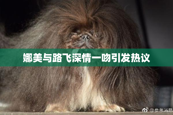 娜美与路飞深情一吻引发热议