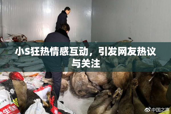 小S狂热情感互动，引发网友热议与关注