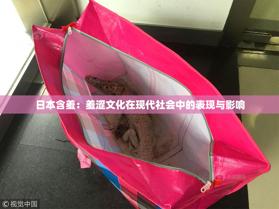 日本含羞：羞涩文化在现代社会中的表现与影响