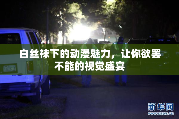 白丝袜下的动漫魅力，让你欲罢不能的视觉盛宴