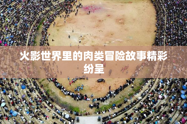 火影世界里的肉类冒险故事精彩纷呈