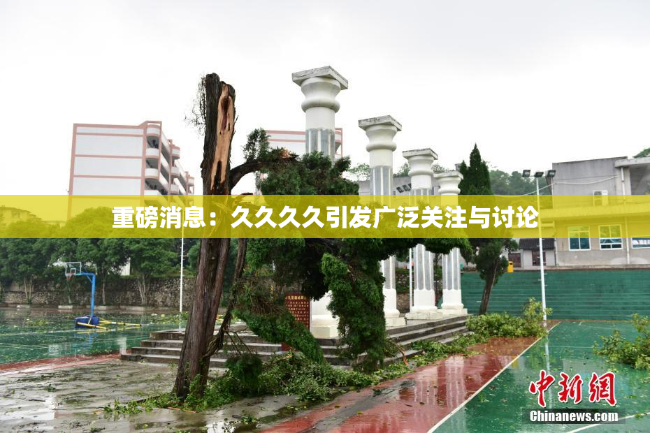 重磅消息：久久久久引发广泛关注与讨论