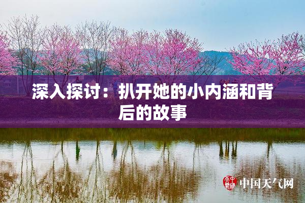 深入探讨：扒开她的小内涵和背后的故事