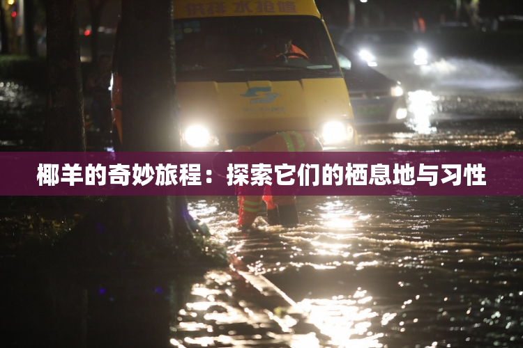 椰羊的奇妙旅程：探索它们的栖息地与习性