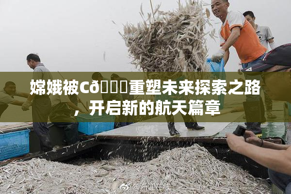 嫦娥被C🔞重塑未来探索之路，开启新的航天篇章