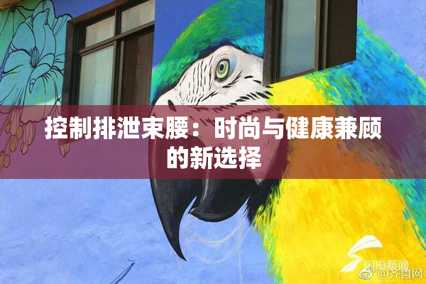 控制排泄束腰：时尚与健康兼顾的新选择