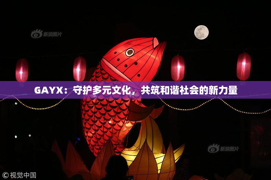 GAYX：守护多元文化，共筑和谐社会的新力量