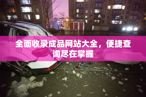 全面收录成品网站大全，便捷查询尽在掌握