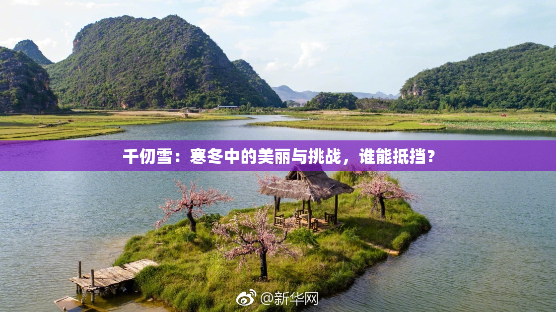 千仞雪：寒冬中的美丽与挑战，谁能抵挡？