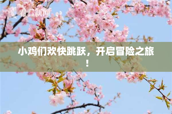 小鸡们欢快跳跃，开启冒险之旅！