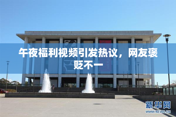 午夜福利视频引发热议，网友褒贬不一