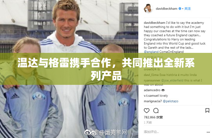 温达与格雷携手合作，共同推出全新系列产品