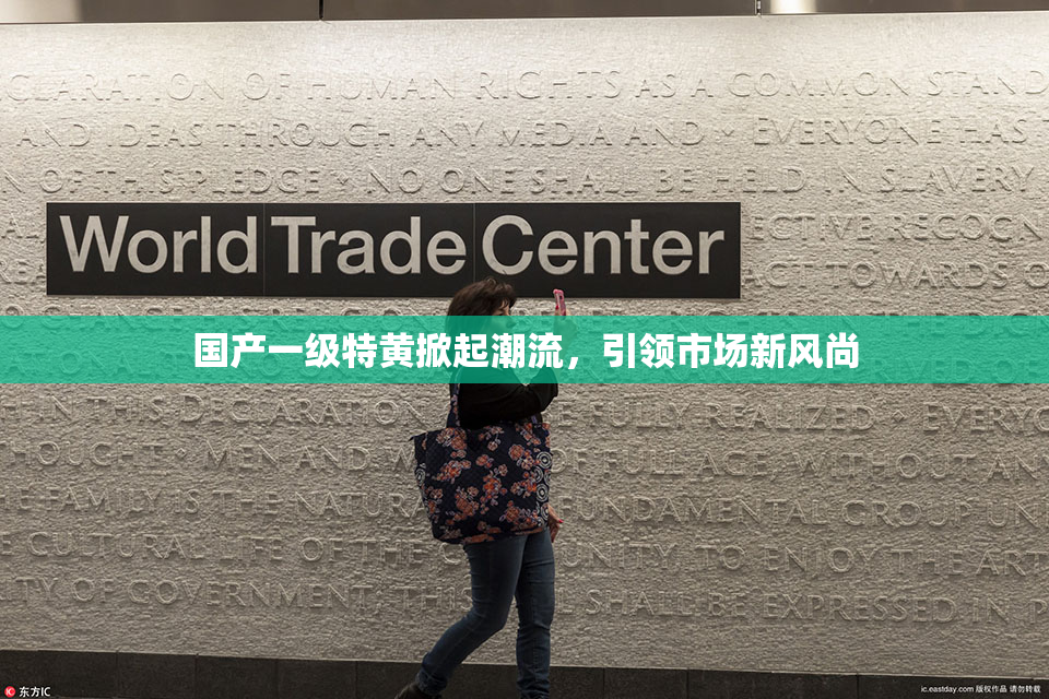 国产一级特黄掀起潮流，引领市场新风尚