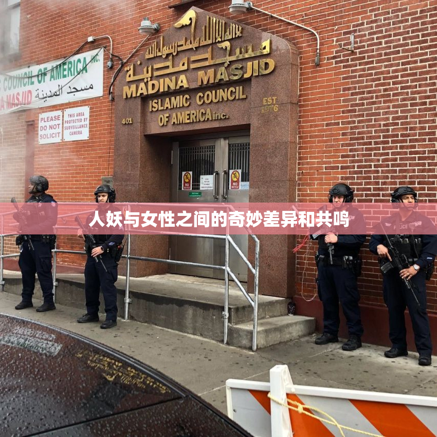 人妖与女性之间的奇妙差异和共鸣