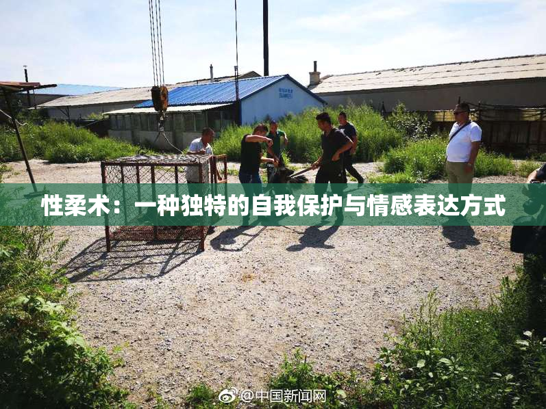 性柔术：一种独特的自我保护与情感表达方式