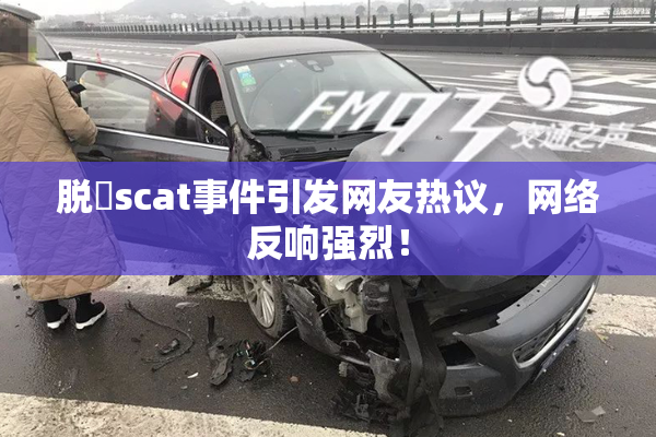 脱糞scat事件引发网友热议，网络反响强烈！
