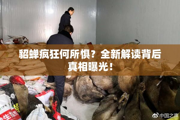 貂蝉疯狂何所惧？全新解读背后真相曝光！