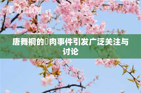 唐舞桐的婬肉事件引发广泛关注与讨论