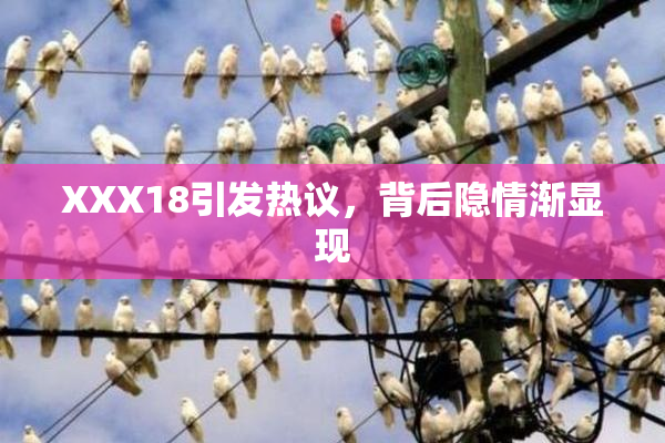 XXX18引发热议，背后隐情渐显现