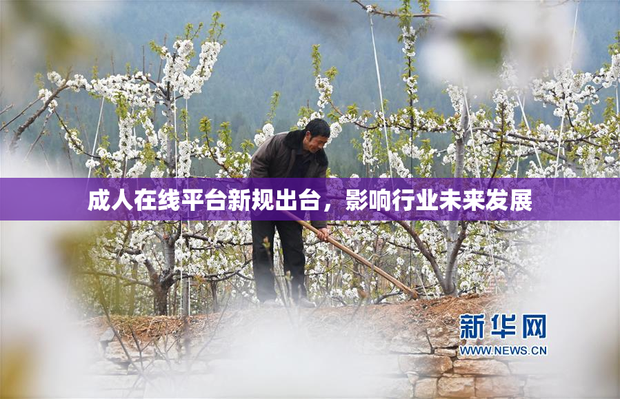 成人在线平台新规出台，影响行业未来发展
