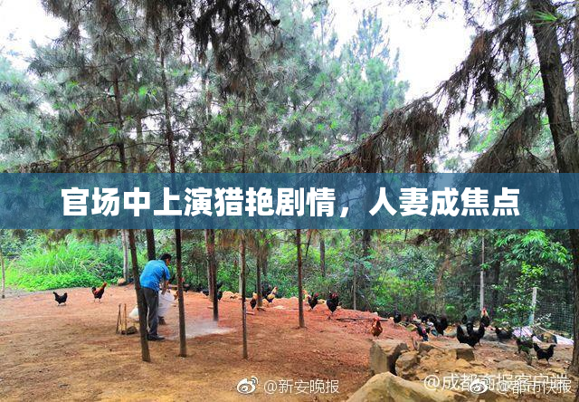 官场中上演猎艳剧情，人妻成焦点