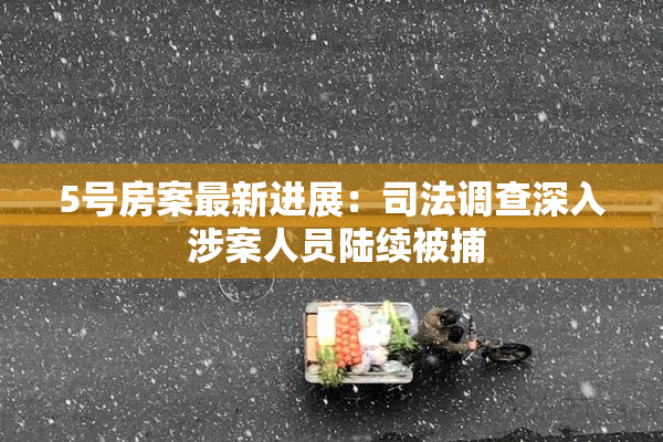 5号房案最新进展：司法调查深入 涉案人员陆续被捕