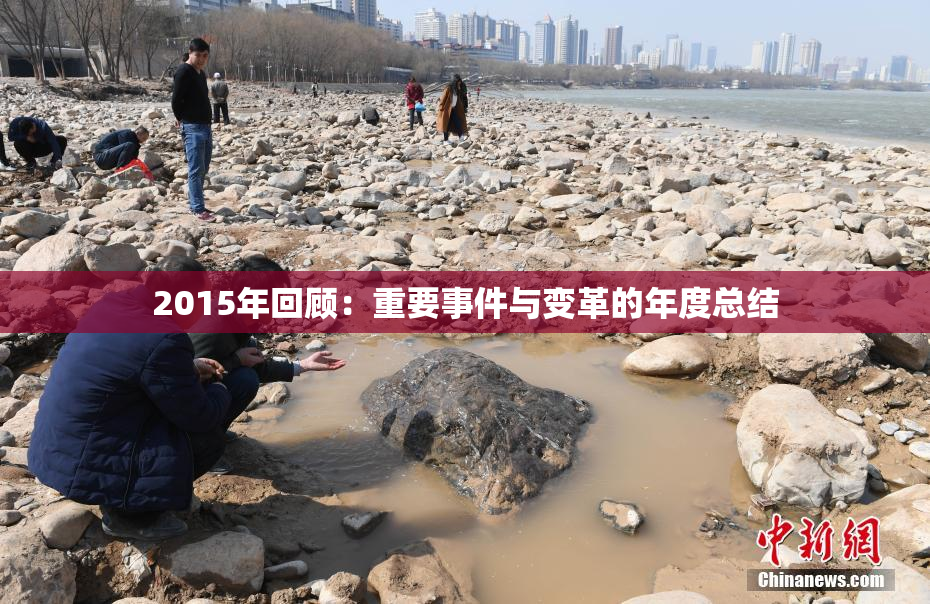 2015年回顾：重要事件与变革的年度总结