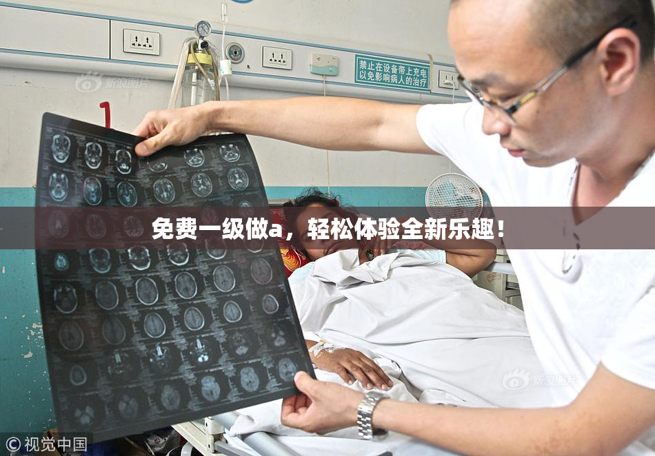 免费一级做a，轻松体验全新乐趣！