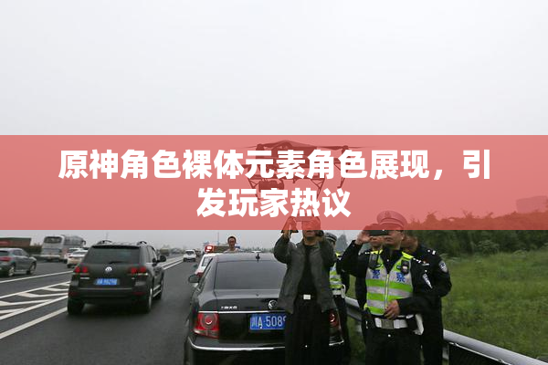 原神角色裸体元素角色展现，引发玩家热议