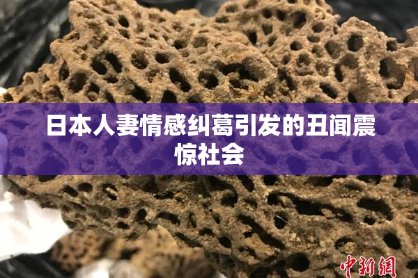 日本人妻情感纠葛引发的丑闻震惊社会