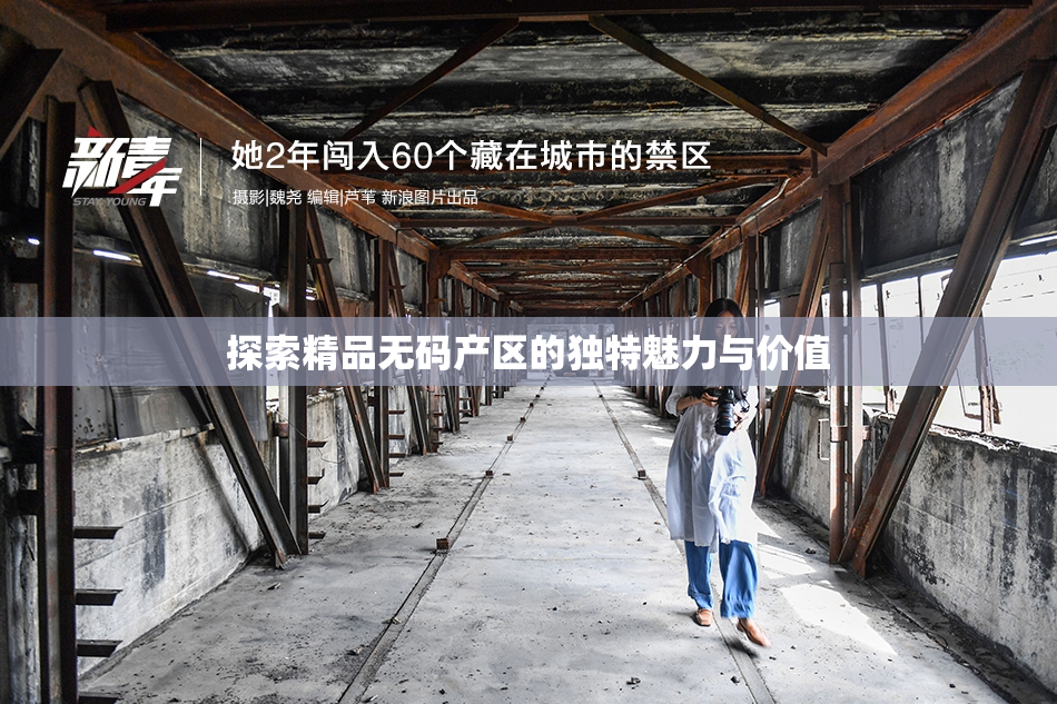 探索精品无码产区的独特魅力与价值