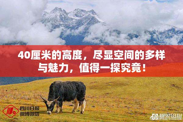 40厘米的高度，尽显空间的多样与魅力，值得一探究竟！