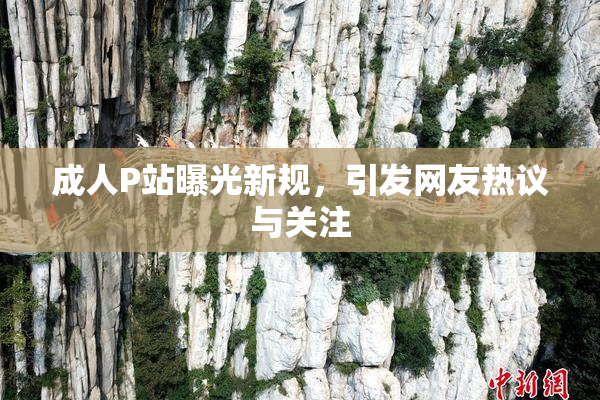成人P站曝光新规，引发网友热议与关注