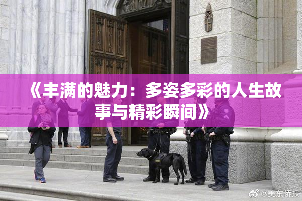 《丰满的魅力：多姿多彩的人生故事与精彩瞬间》