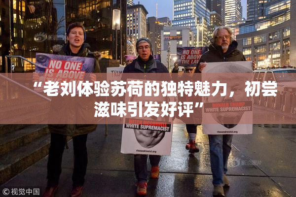 “老刘体验苏荷的独特魅力，初尝滋味引发好评”