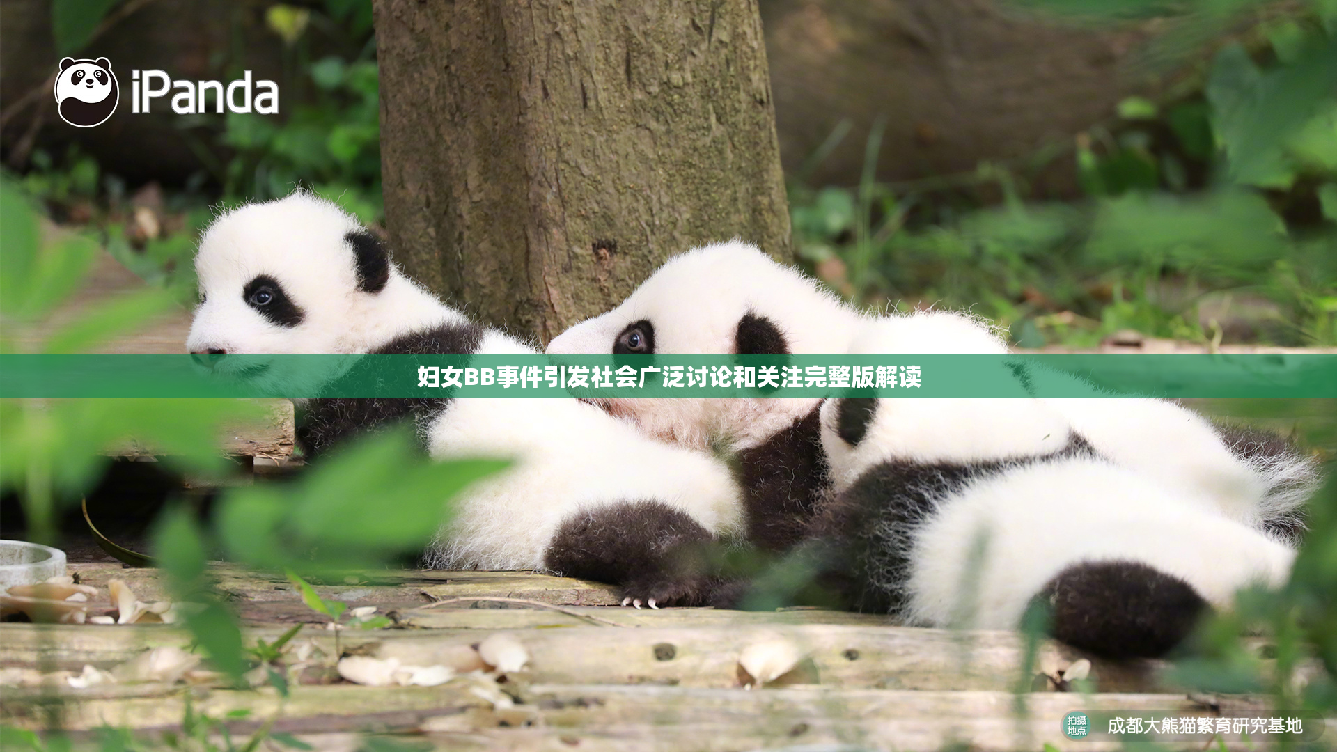 妇女BB事件引发社会广泛讨论和关注完整版解读