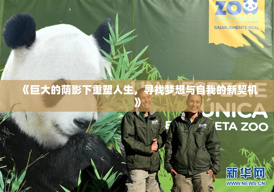 《巨大的荫影下重塑人生，寻找梦想与自我的新契机》