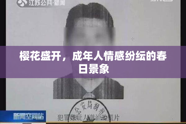 樱花盛开，成年人情感纷纭的春日景象