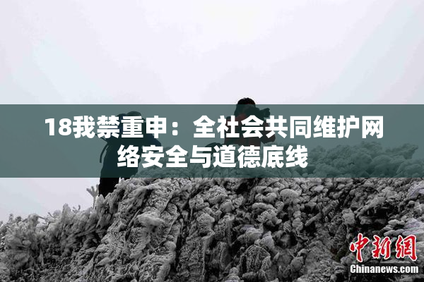 18我禁重申：全社会共同维护网络安全与道德底线
