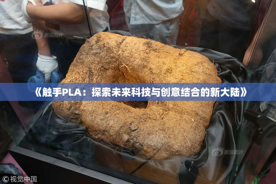《触手PLA：探索未来科技与创意结合的新大陆》