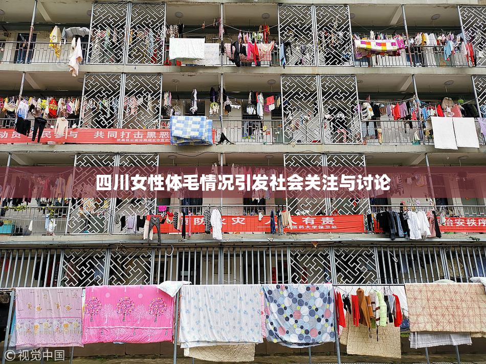 四川女性体毛情况引发社会关注与讨论