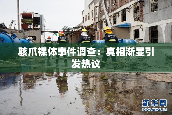 骇爪裸体事件调查：真相渐显引发热议