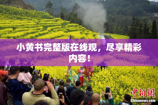 小黄书完整版在线观，尽享精彩内容！