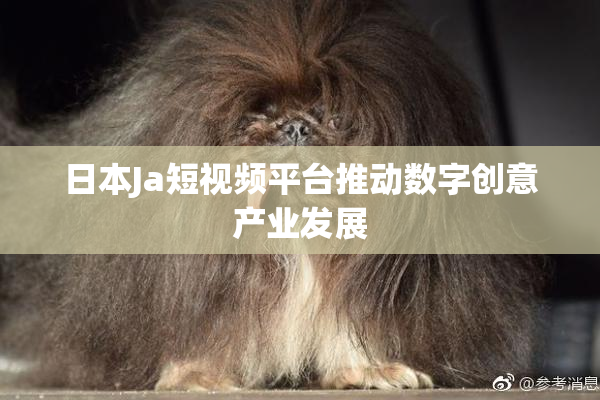 日本Ja短视频平台推动数字创意产业发展