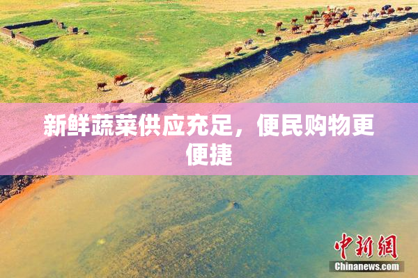 新鲜蔬菜供应充足，便民购物更便捷