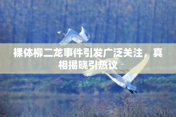 裸体柳二龙事件引发广泛关注，真相揭晓引热议