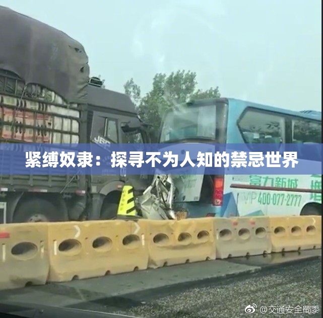 紧缚奴隶：探寻不为人知的禁忌世界