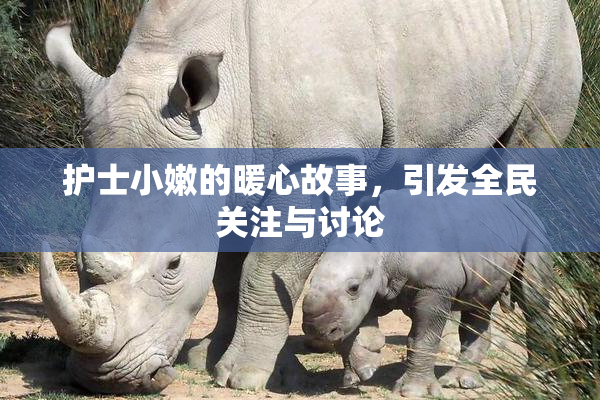 护士小嫩的暖心故事，引发全民关注与讨论