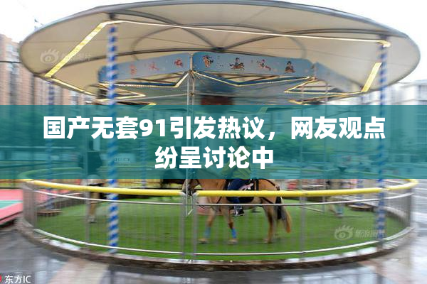 国产无套91引发热议，网友观点纷呈讨论中
