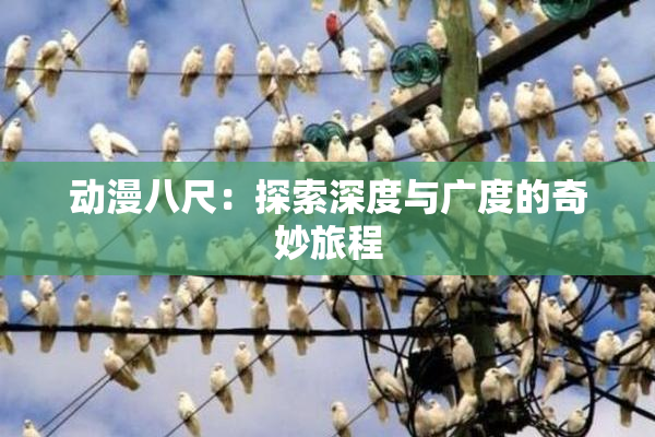 动漫八尺：探索深度与广度的奇妙旅程